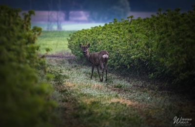 180_1404_2024_IMGP9079