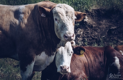 190_2505_2024_IMGP5305