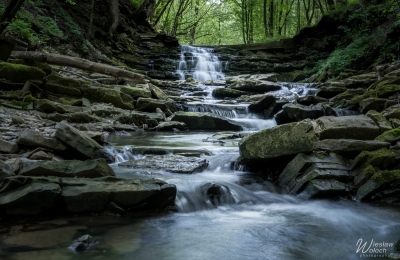 wodospady-Iwla-i-wisloczek_2024_IMGP2457