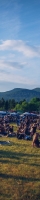 100_2706_2025_IMGP5200